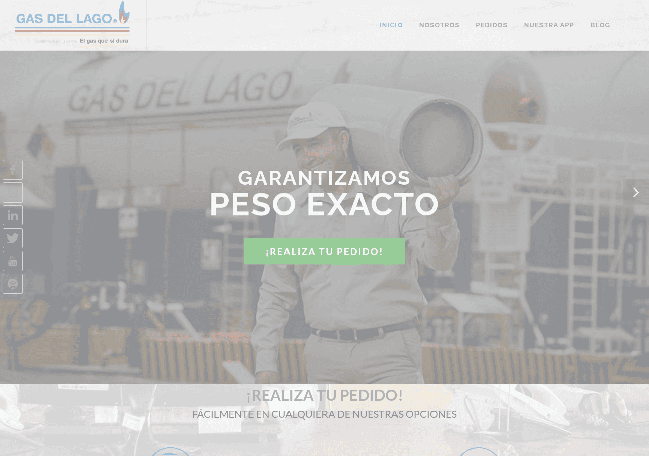Screenshot of gasdellago.com.mx