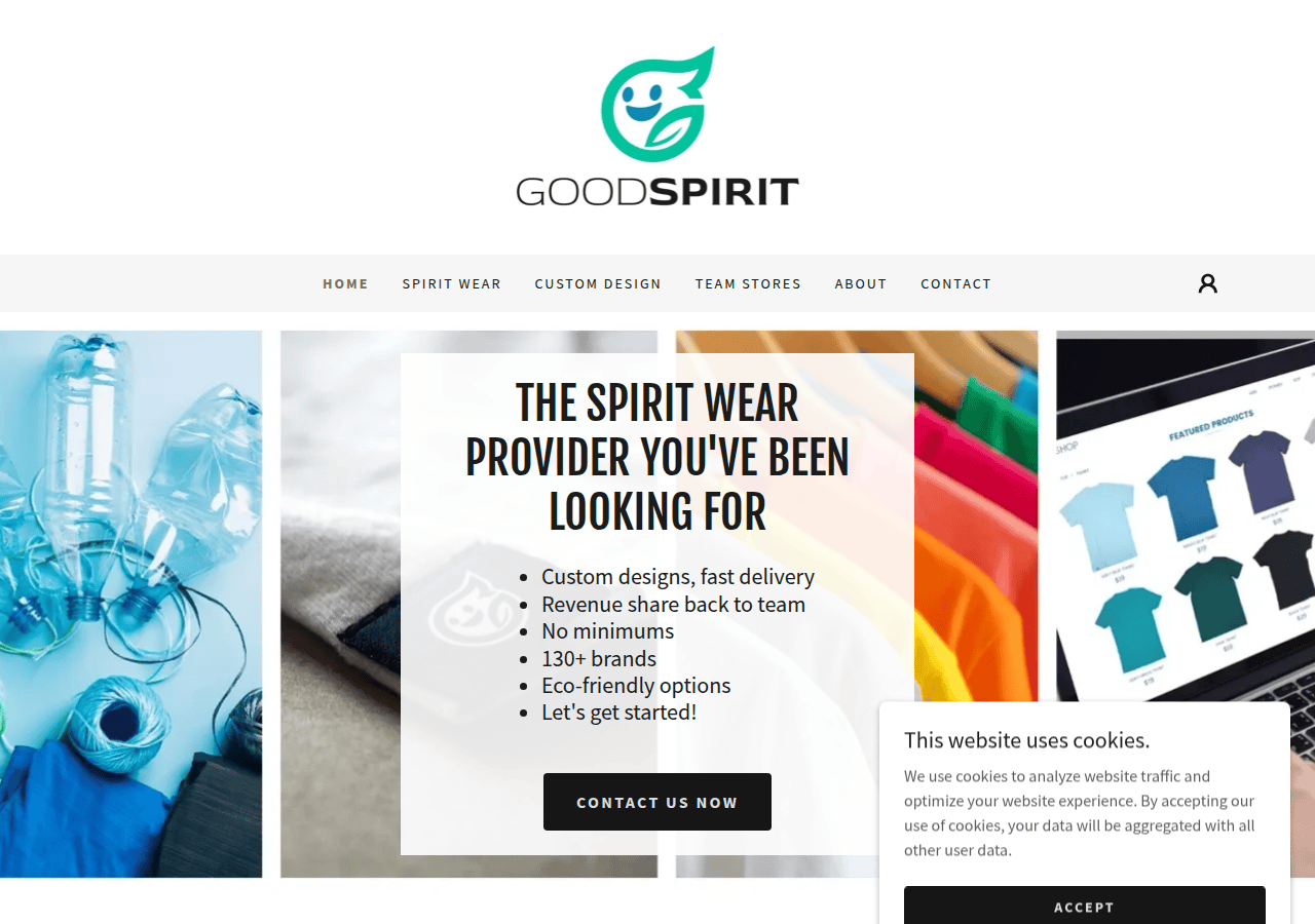 Screenshot of goodspirit.com