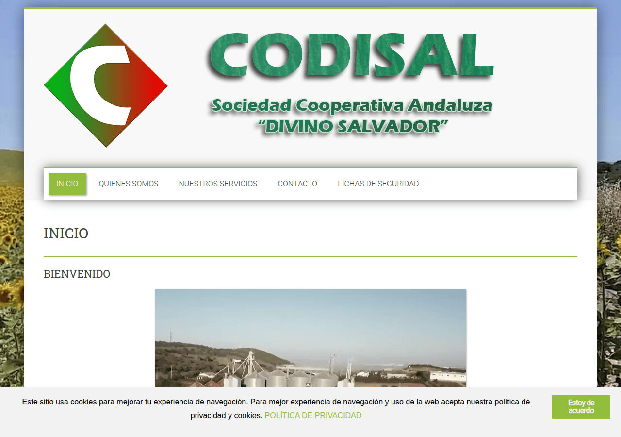 Screenshot of codisal.es