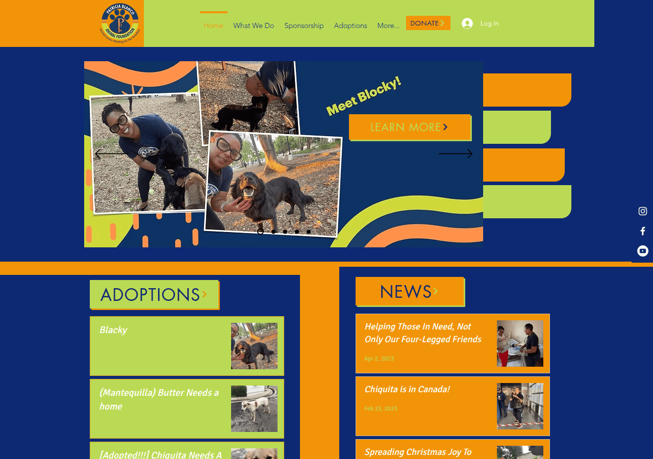 Screenshot of pbanimalfoundation.org