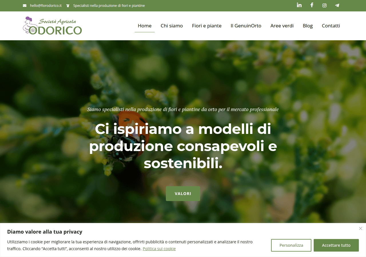 Screenshot of florodorico.it