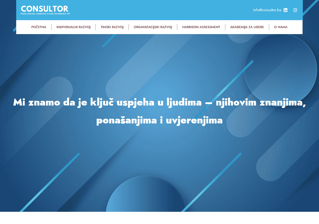 Screenshot of consultor.ba