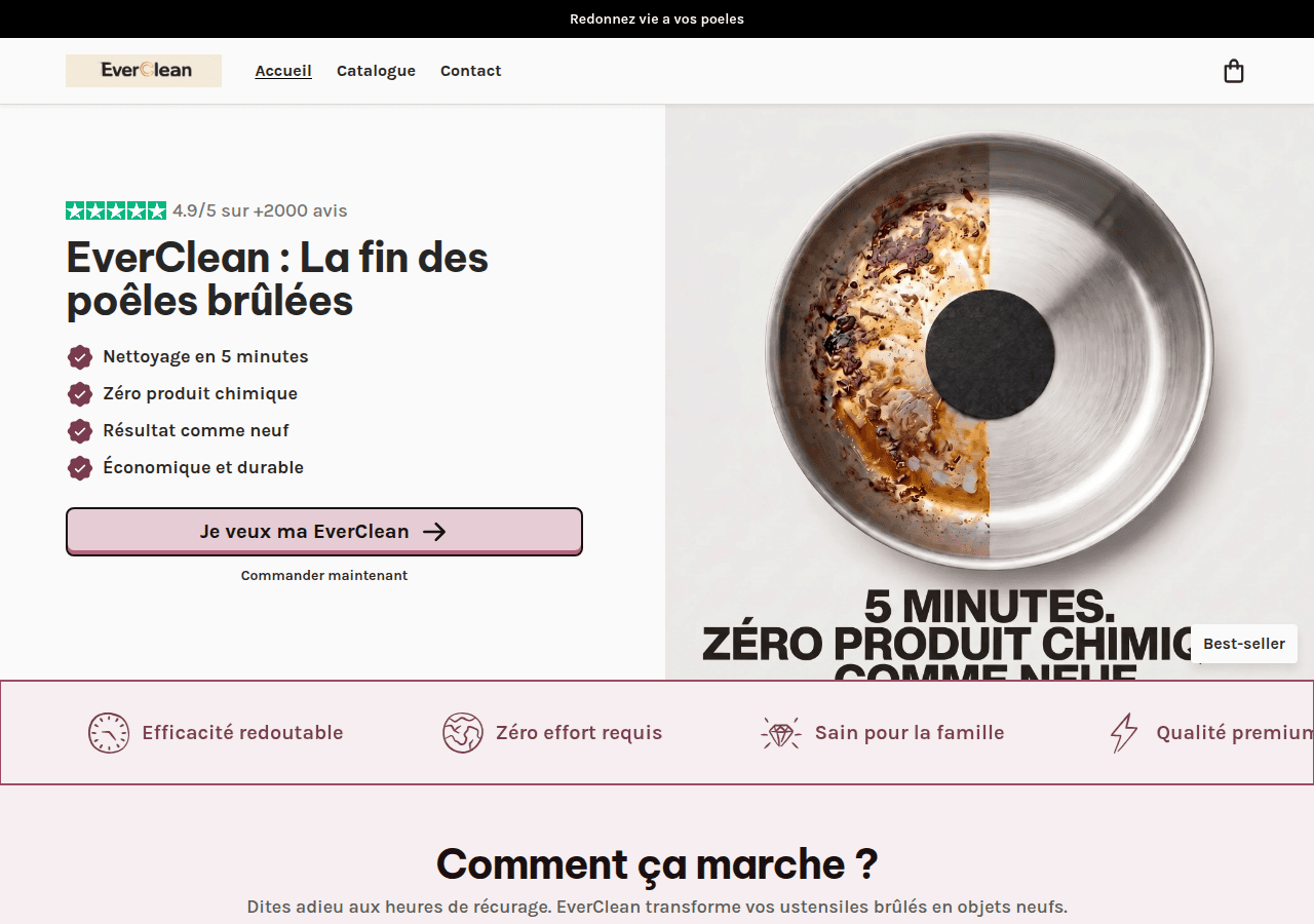Screenshot of evercleanz.com