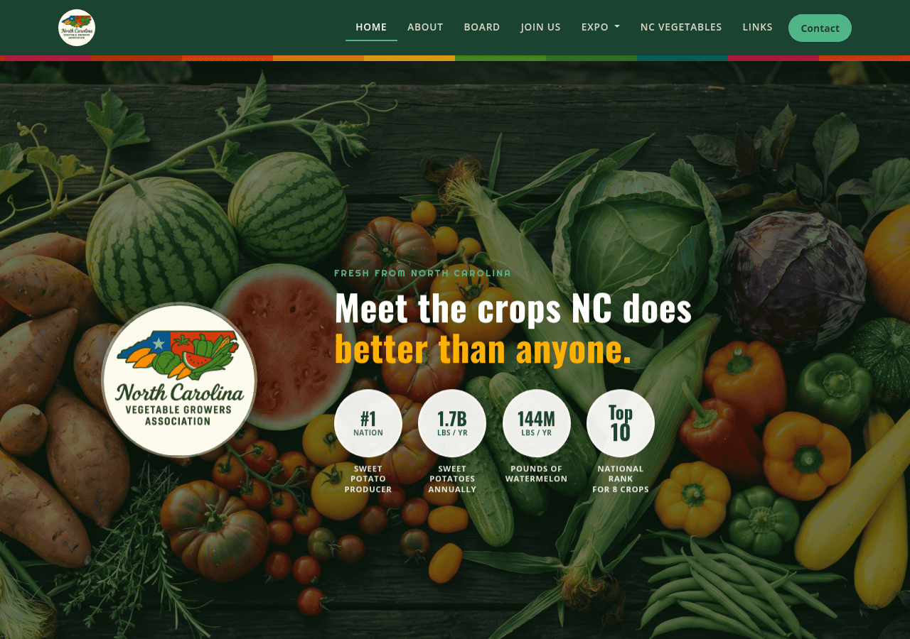 Screenshot of ncvga.com