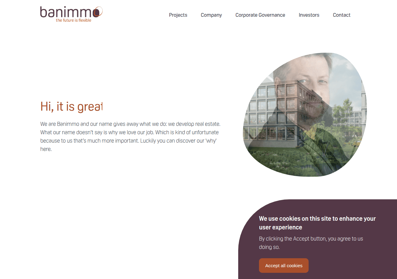 Screenshot of banimmo.be