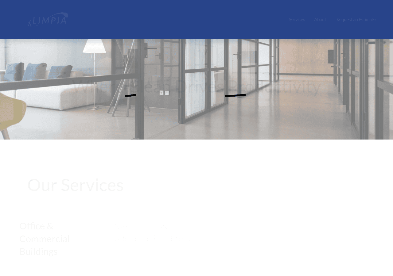 Screenshot of limpiasolutions.com