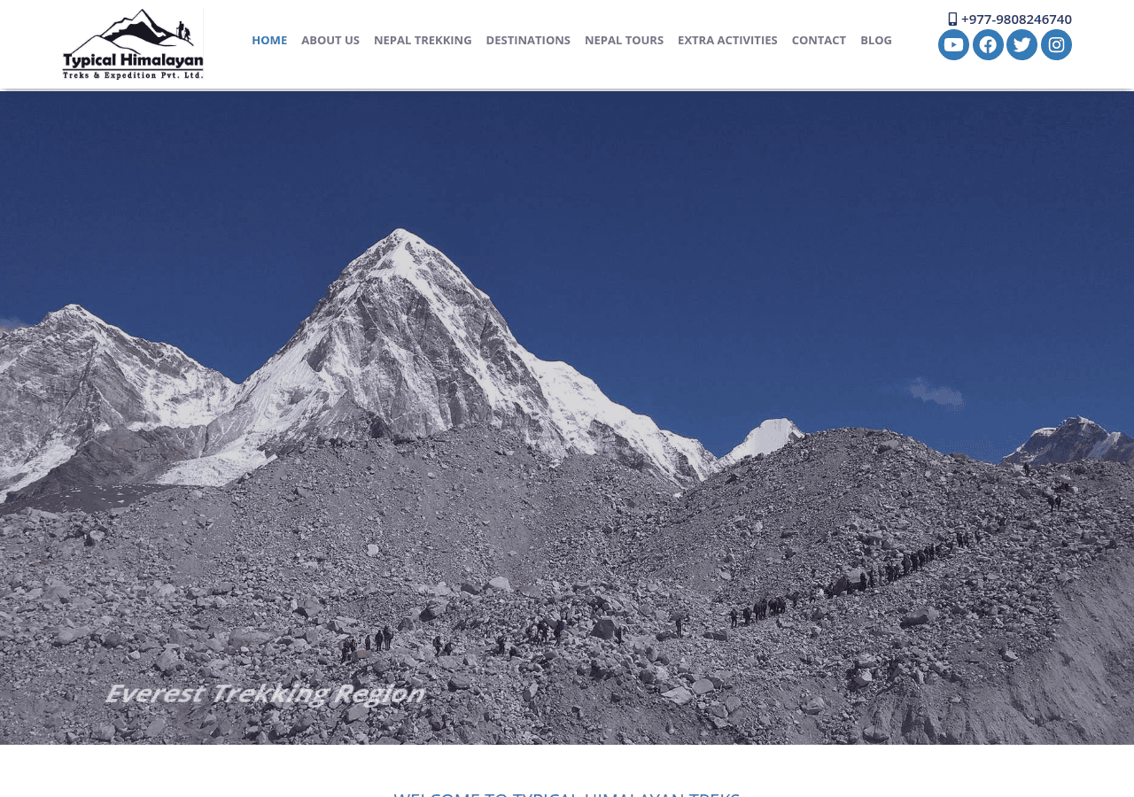 Screenshot of typicalhimalayantreks.com