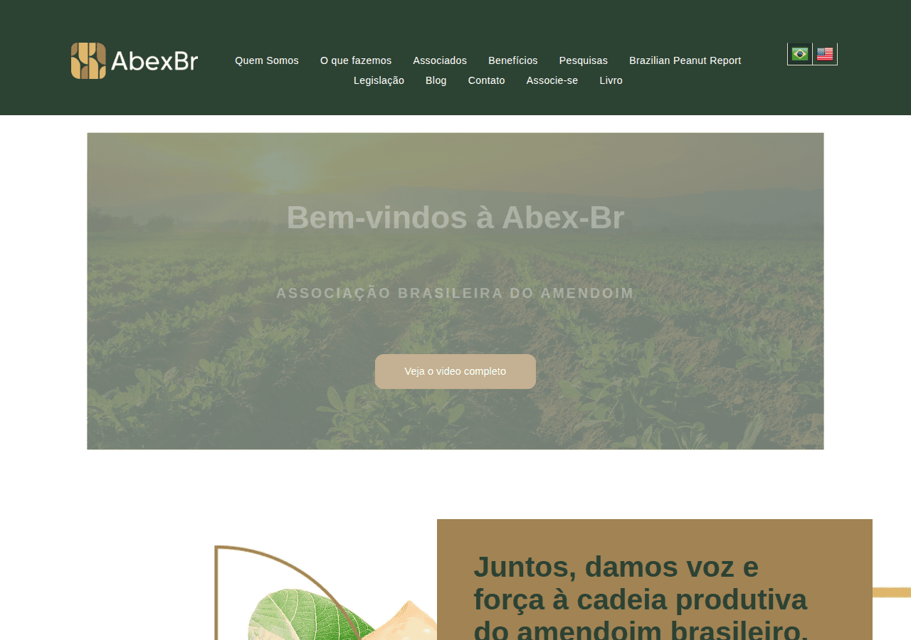 Screenshot of abexbr.org.br