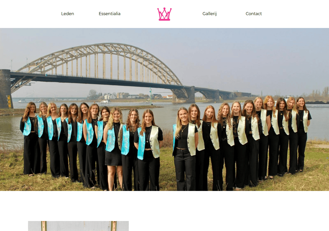Screenshot of damesdispuutprincipessa.nl