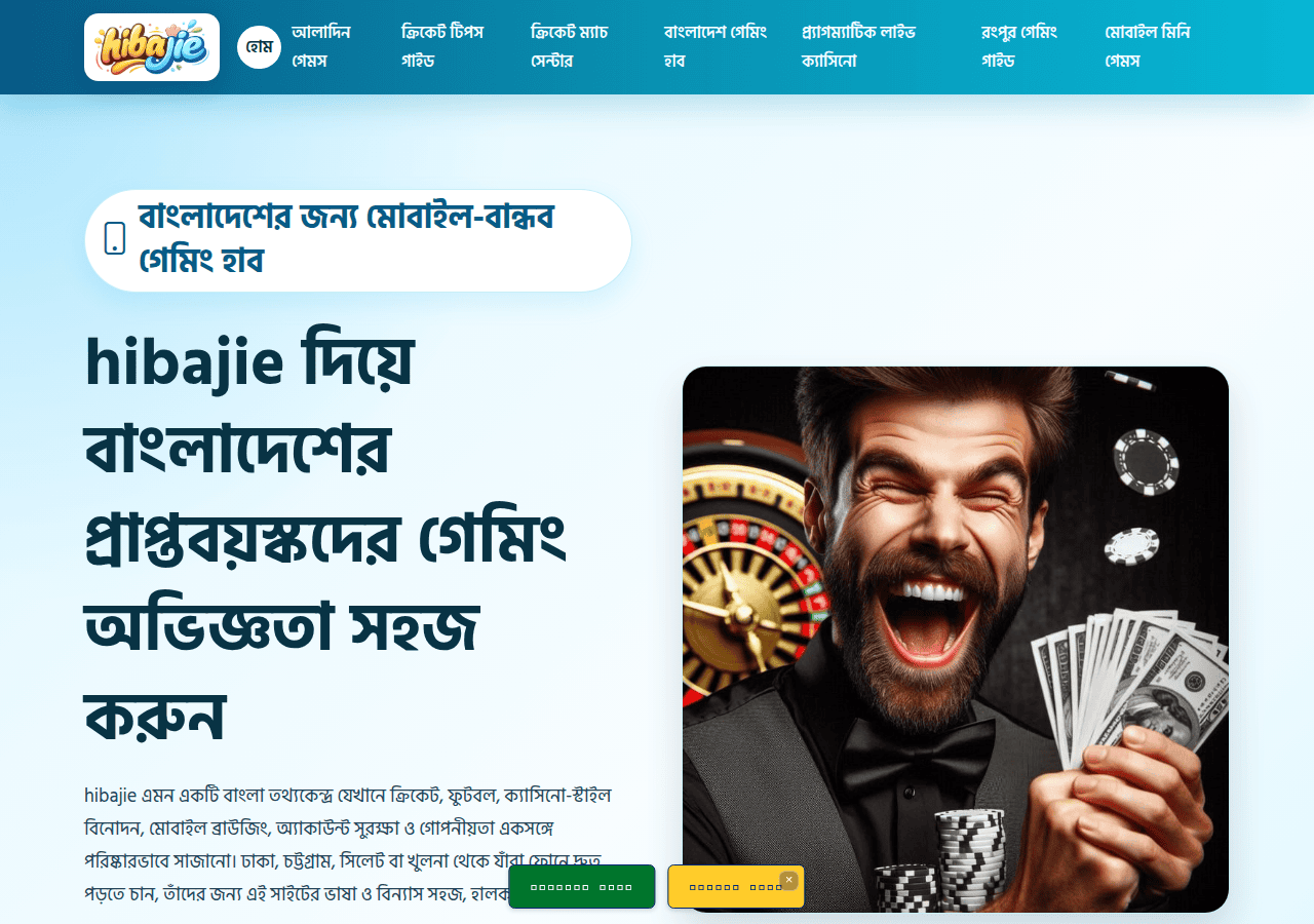 Screenshot of hibajie.com