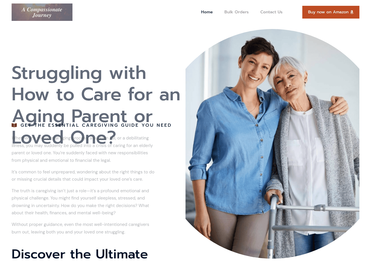Screenshot of bestparentcare.com
