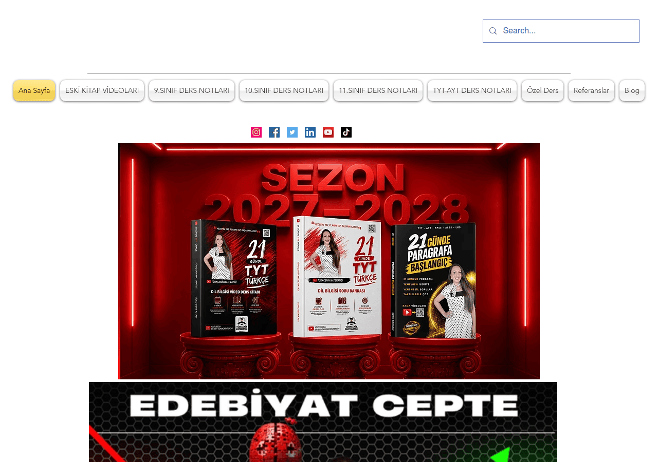 Screenshot of turkceninmatematigi.com