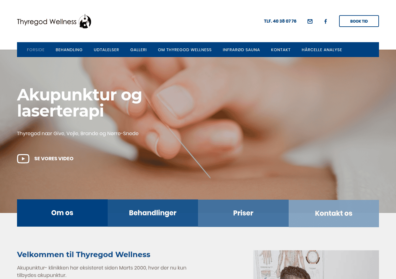 Screenshot of thyregod-wellness.dk
