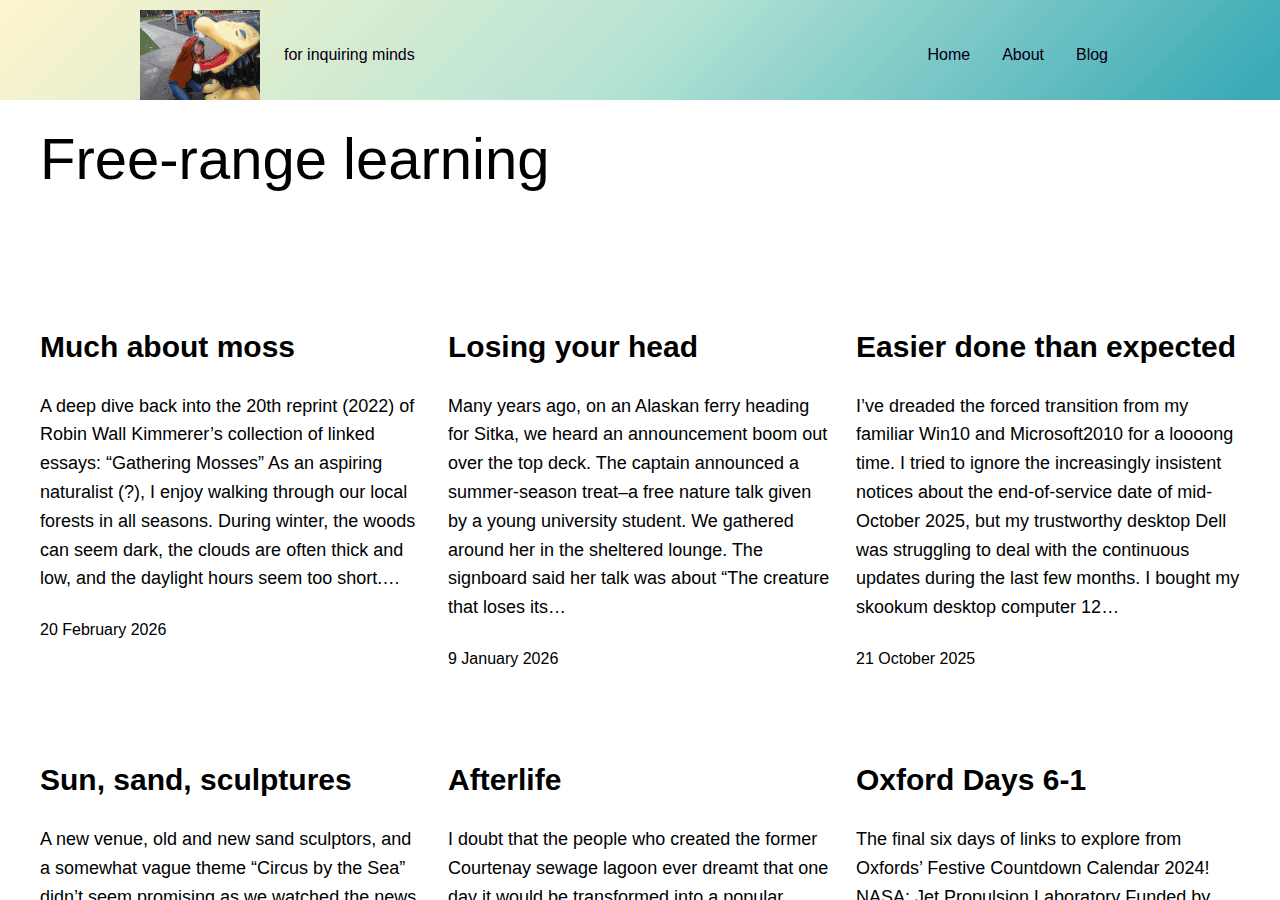 Screenshot of quisitive.ca