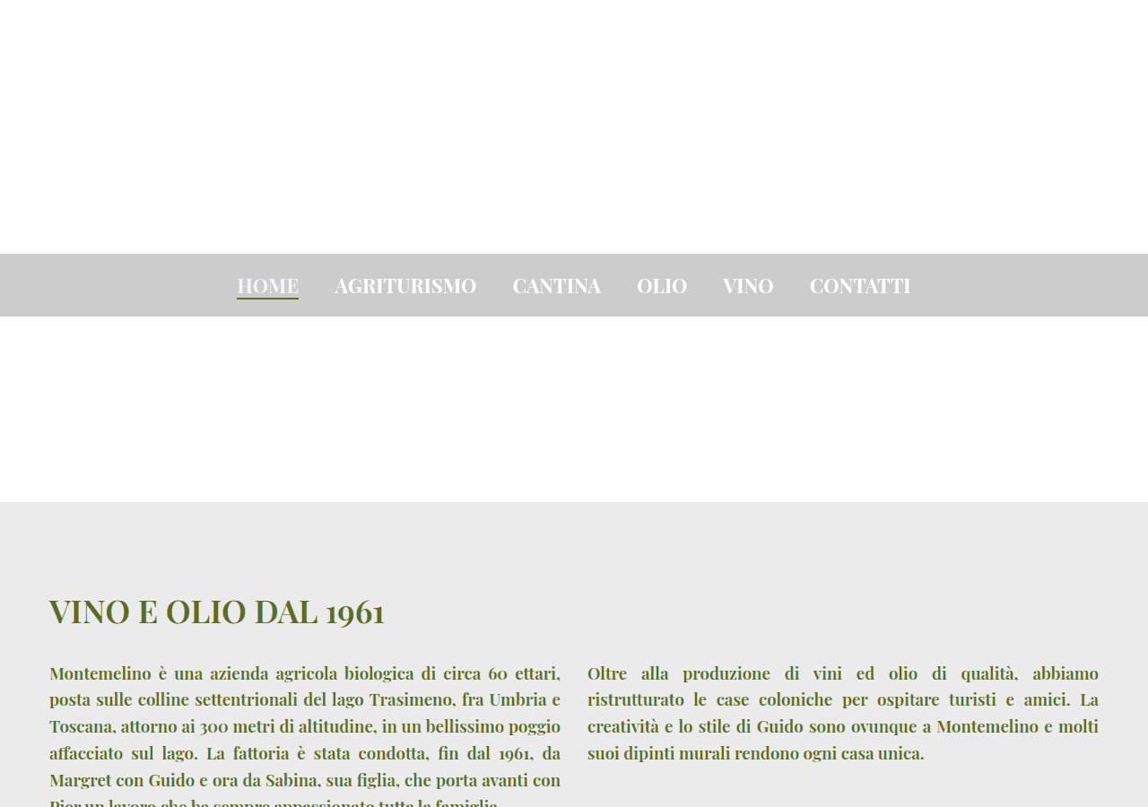 Screenshot of montemelino.com
