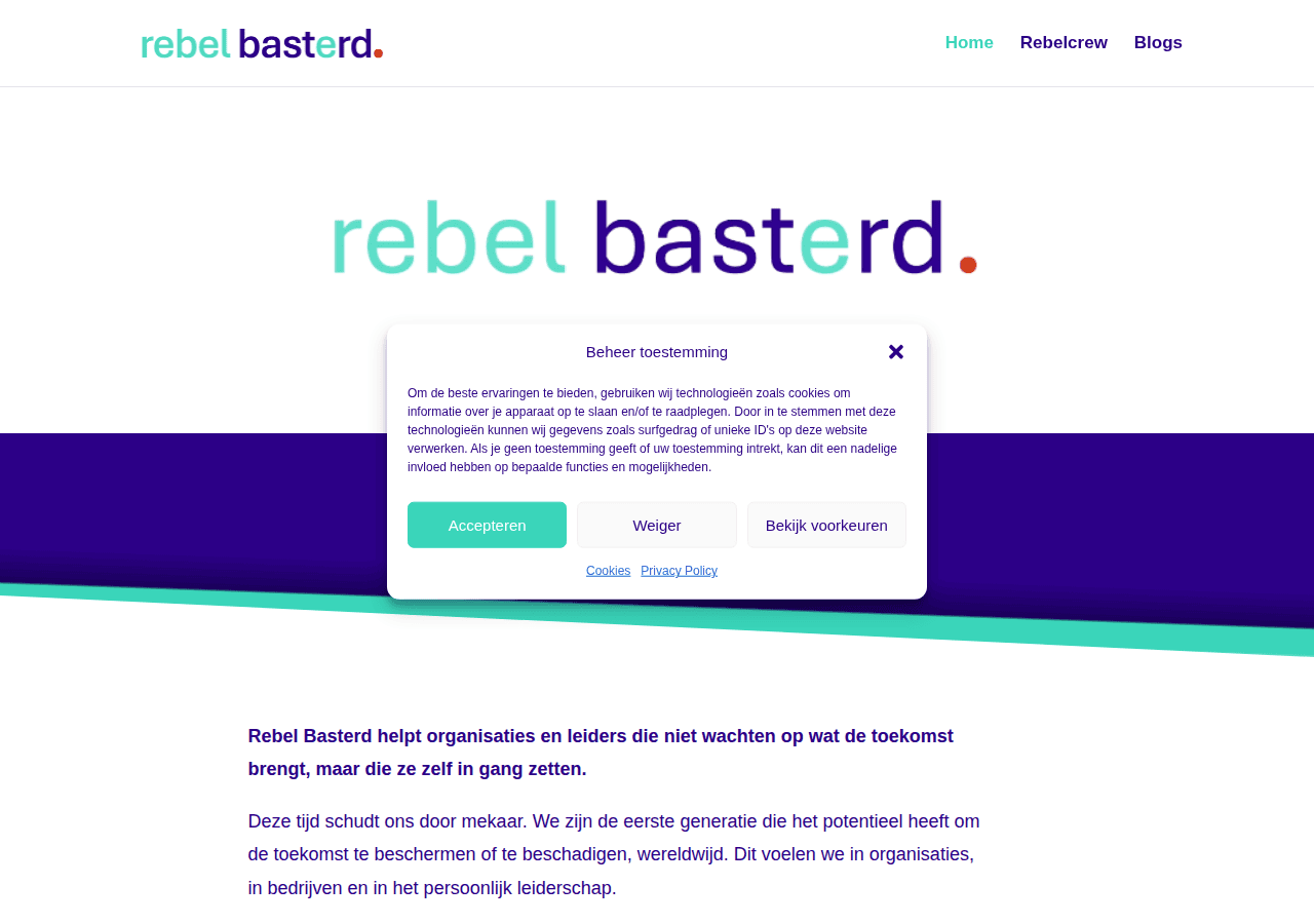 Screenshot of rebelbasterd.be