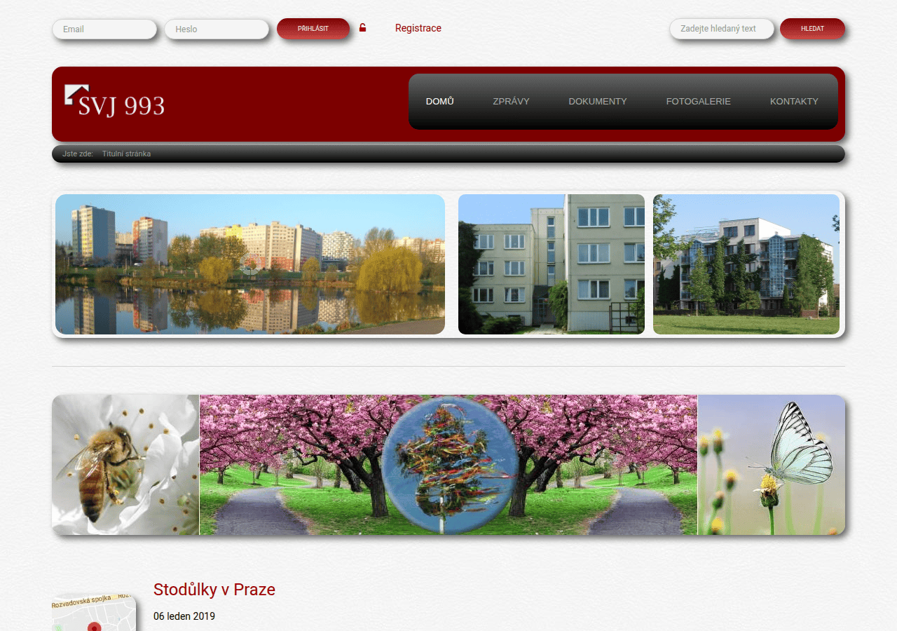 Screenshot of svj993.cz