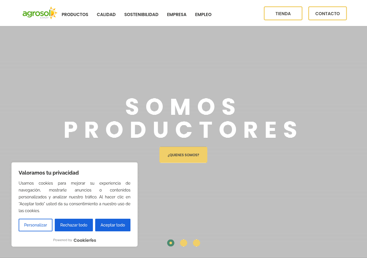 Screenshot of agrosolexport.com