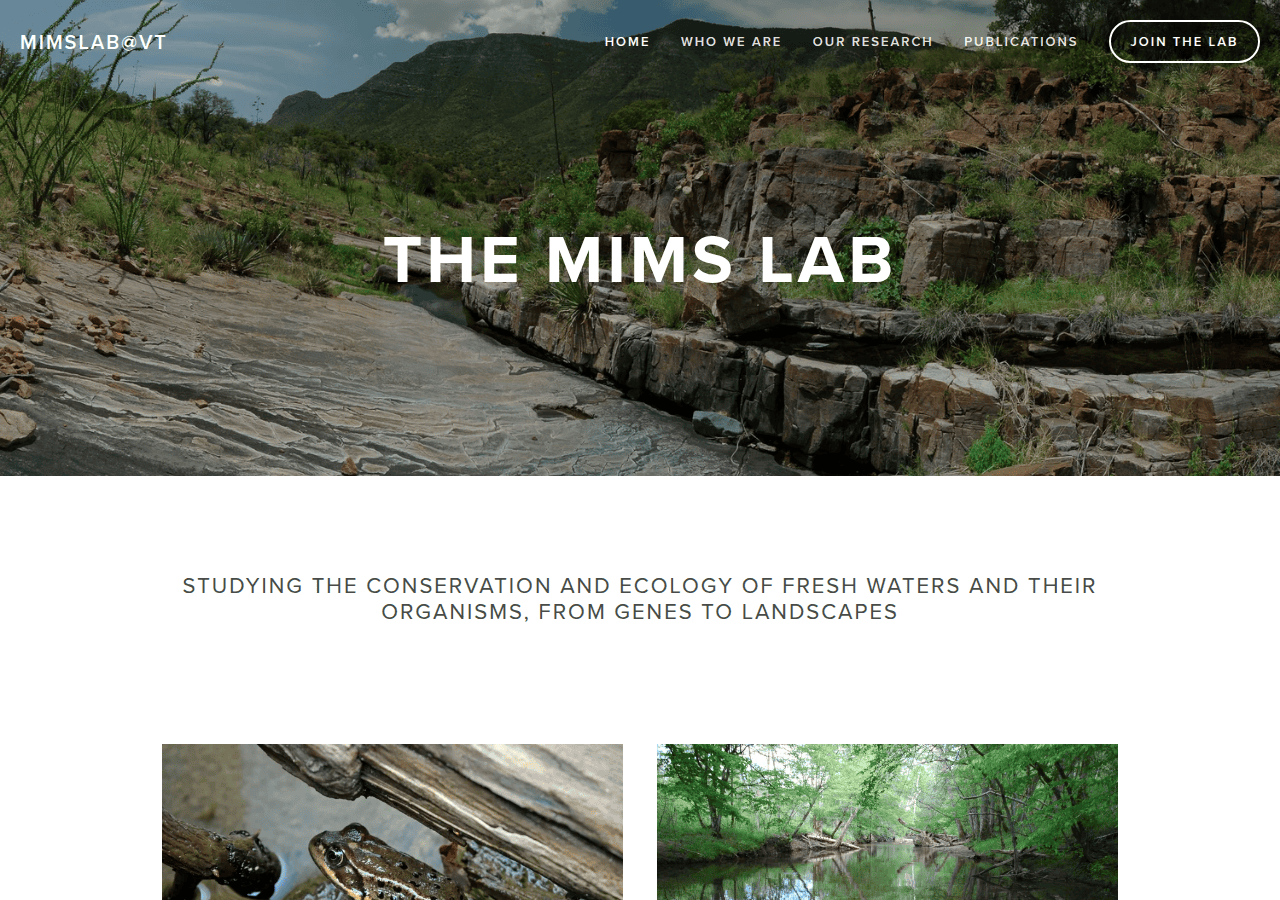 Screenshot of mimslab.org
