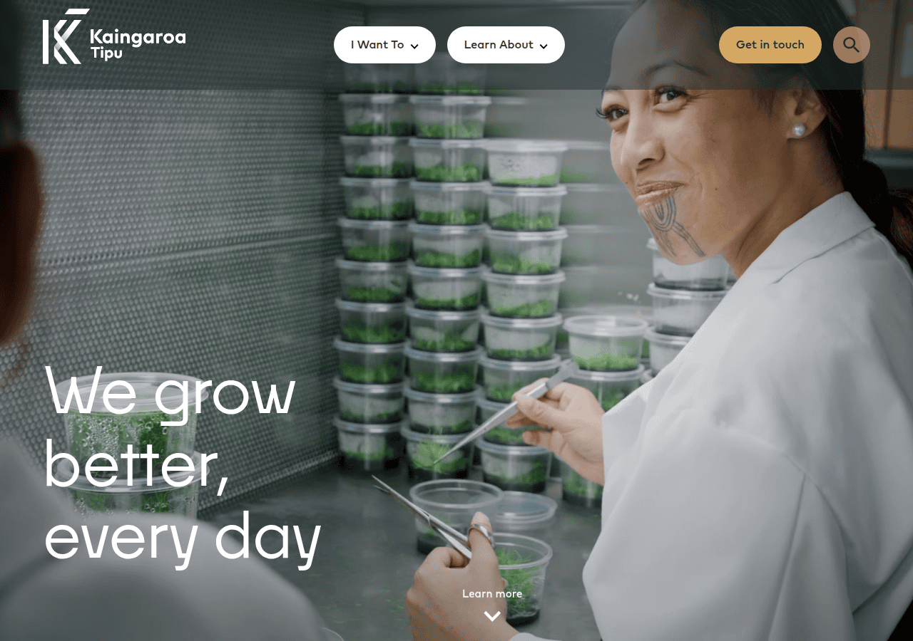 Screenshot of kt.co.nz