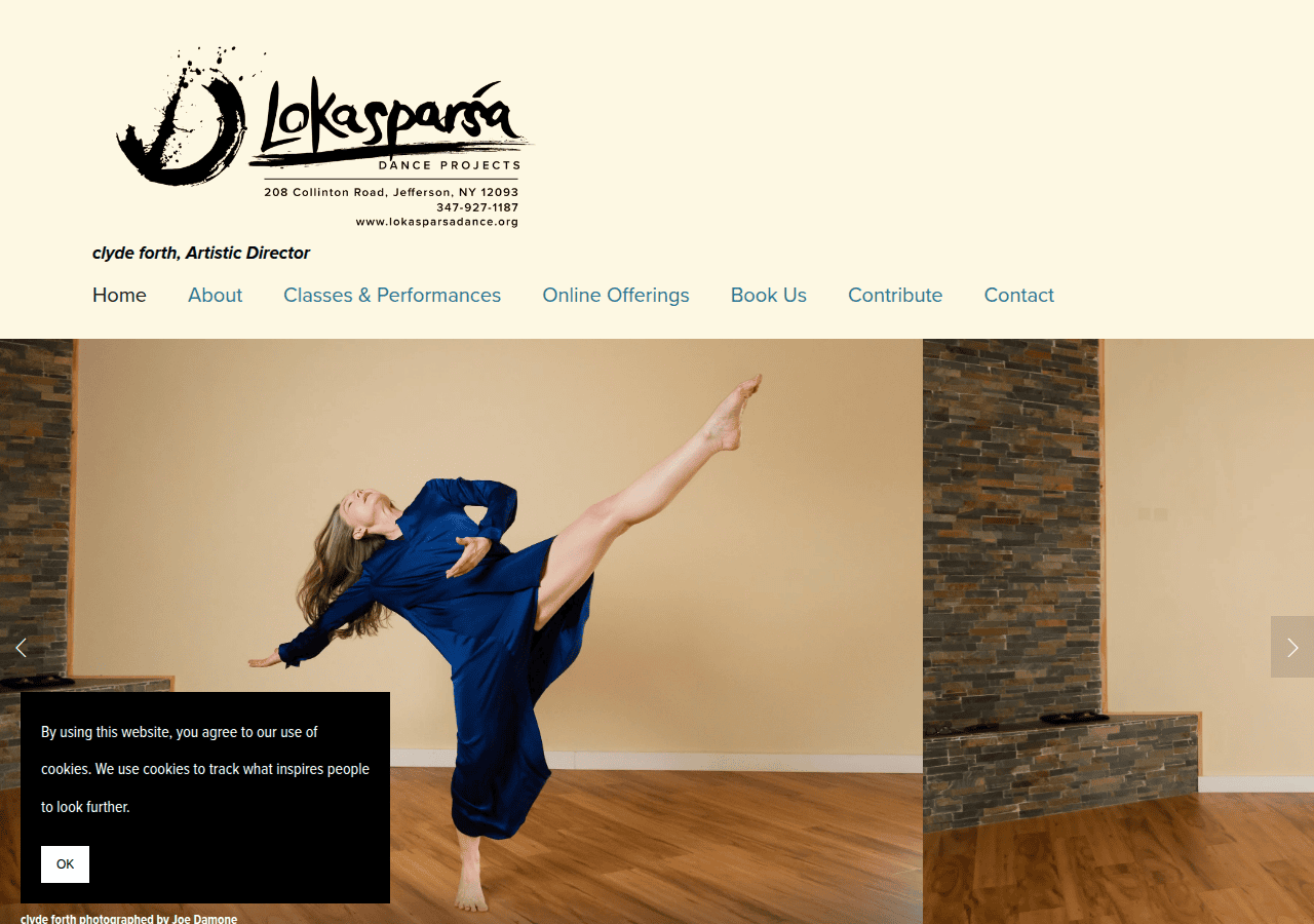 Screenshot of lokasparsadance.org