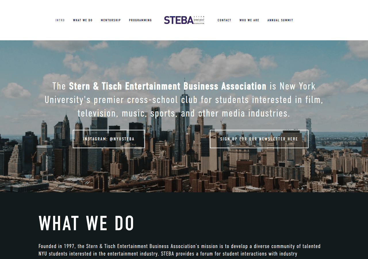 Screenshot of nyusteba.com