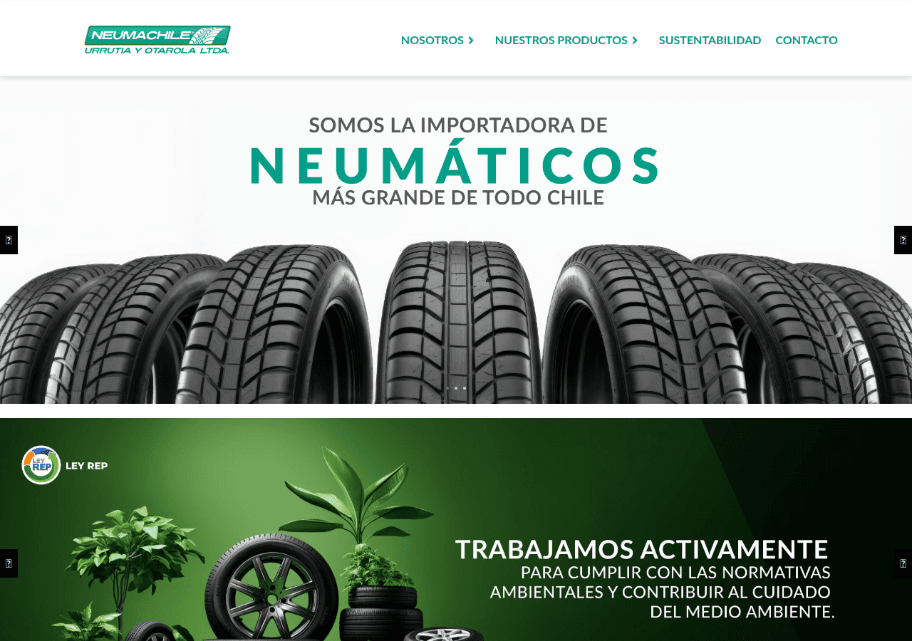 Screenshot of neumachile.cl