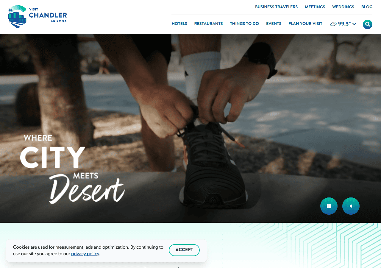 Screenshot of visitchandler.com