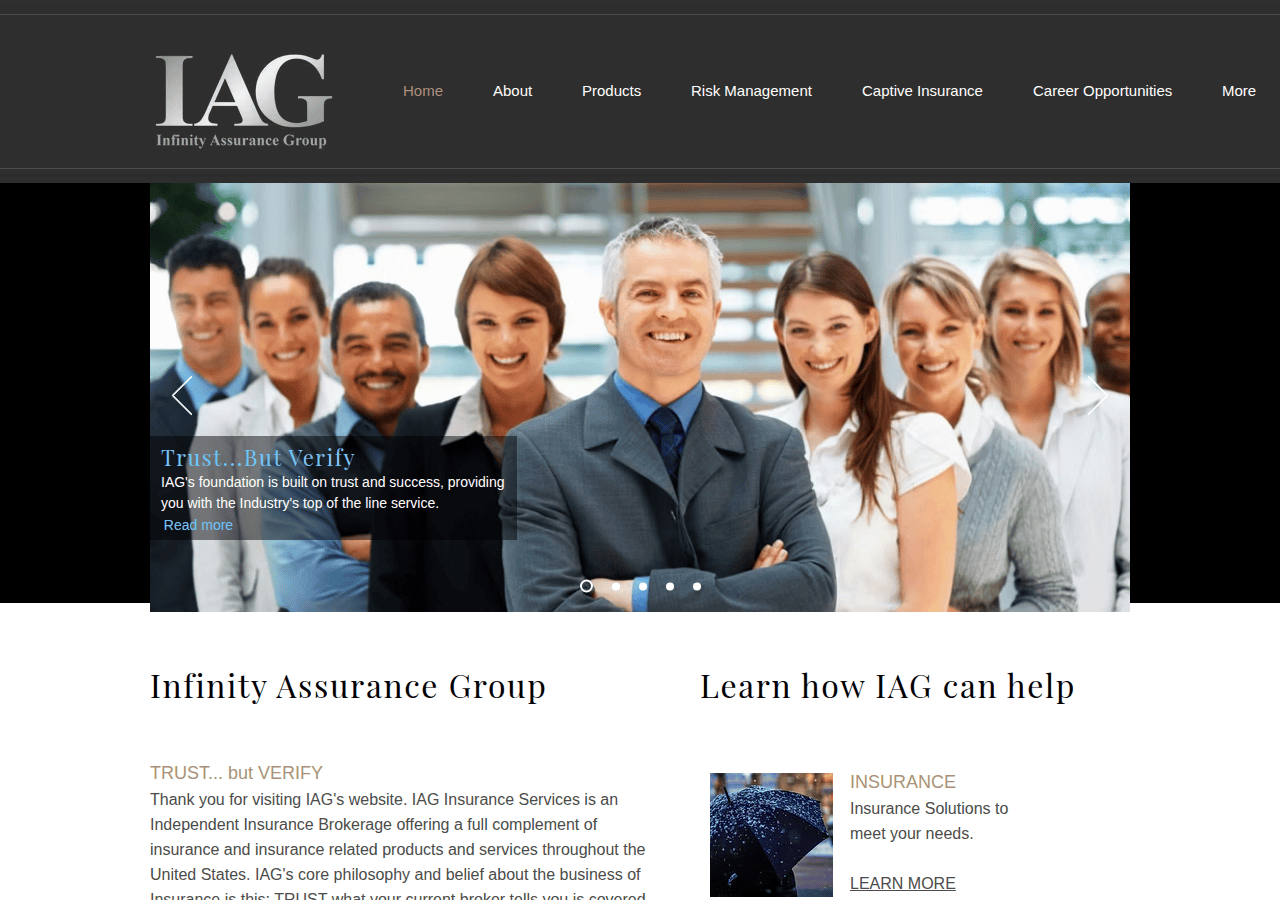 Screenshot of iagins.com