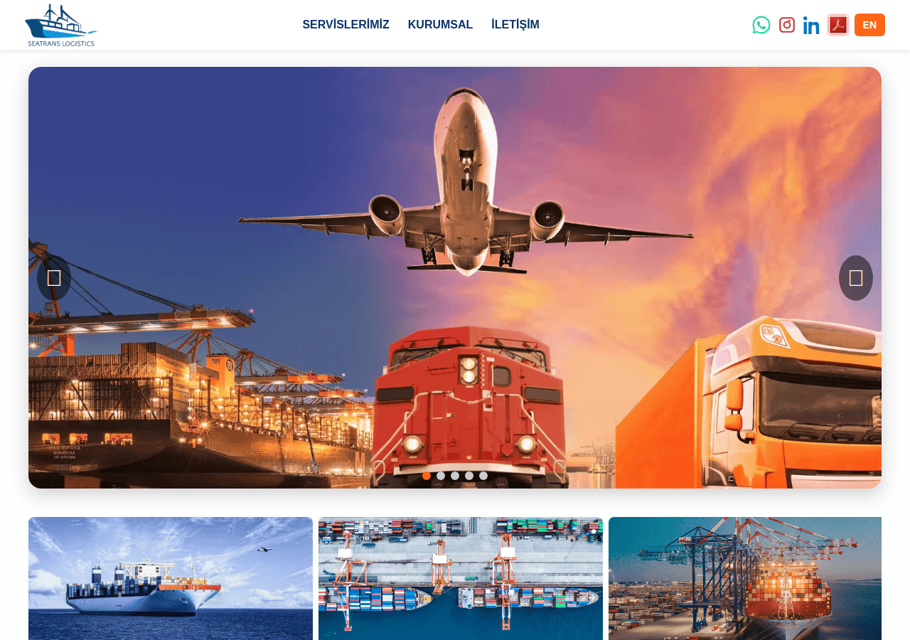Screenshot of seatrans.com.tr