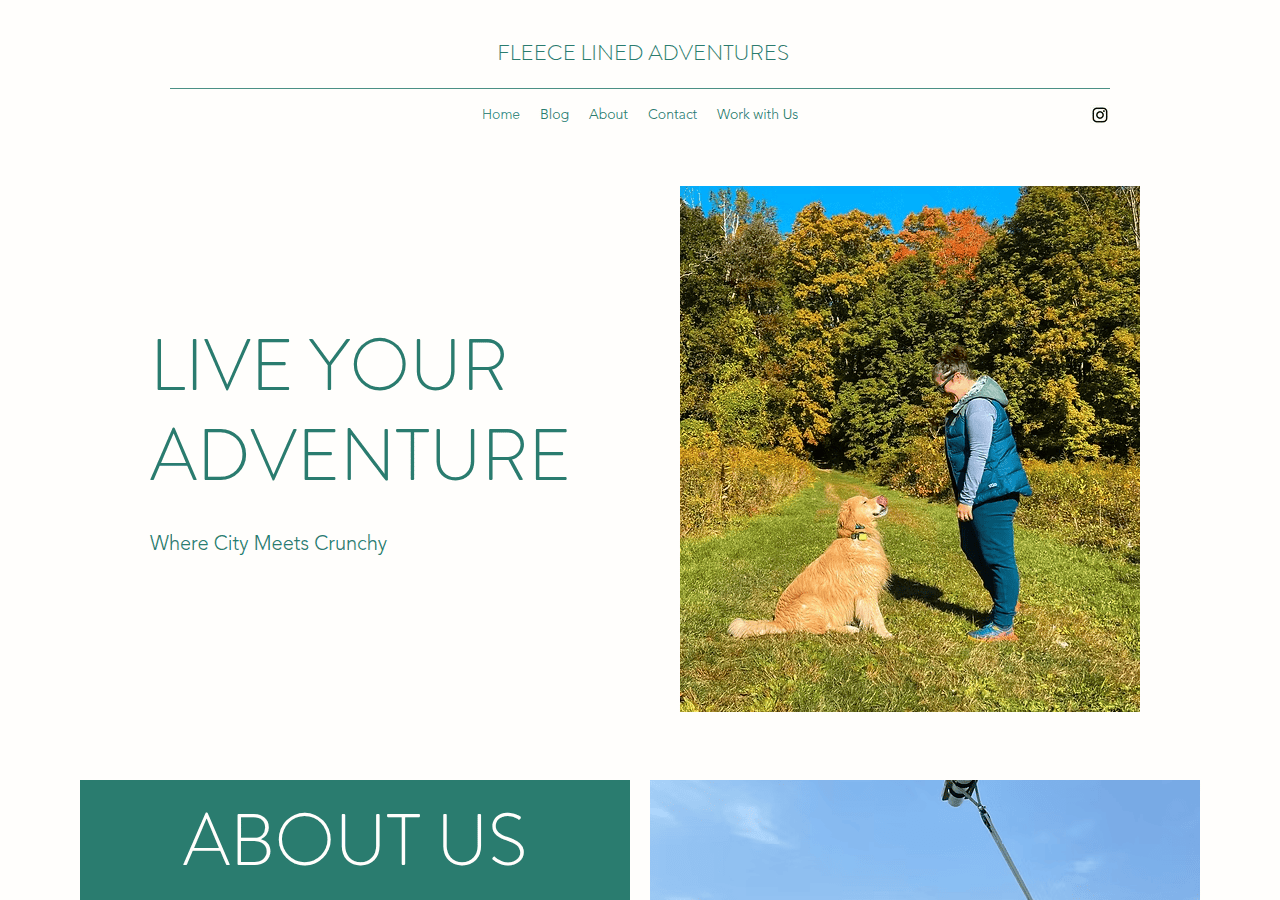 Screenshot of fleecelinedadventures.com