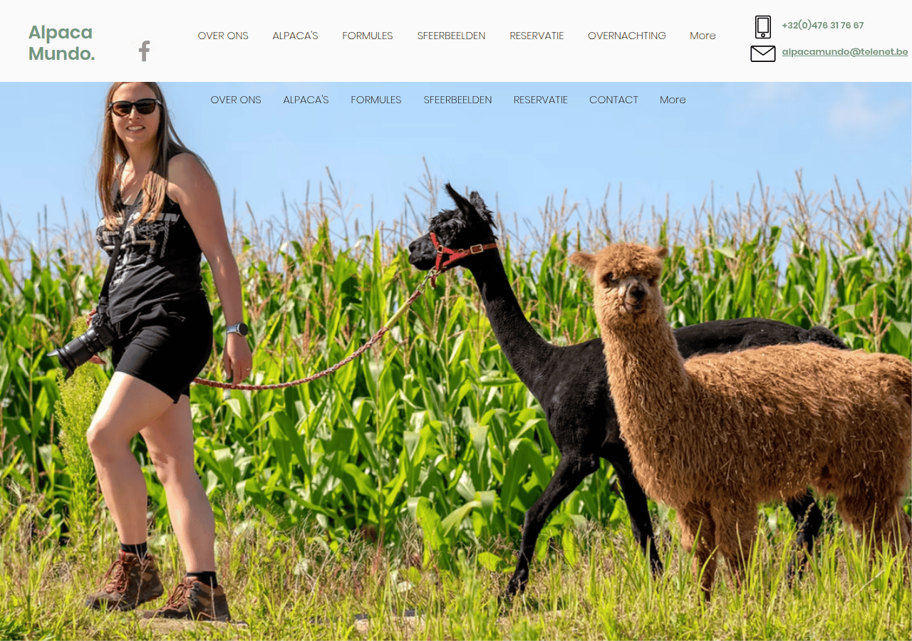 Screenshot of alpacamundo.be