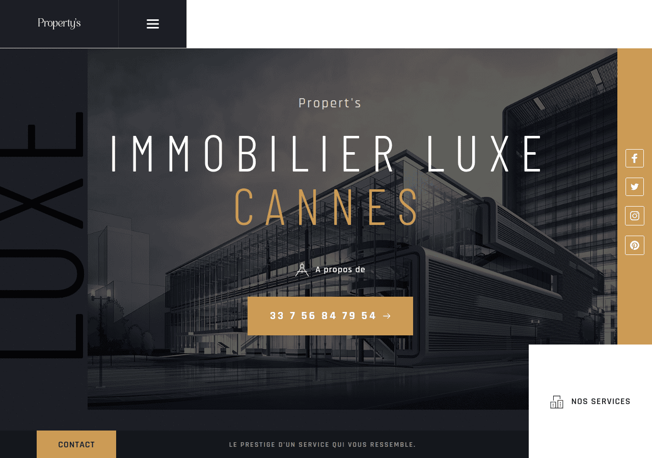 Screenshot of immobilier-luxe-cannes.fr
