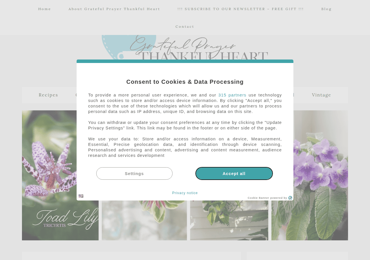 Screenshot of gratefulprayerthankfulheart.com