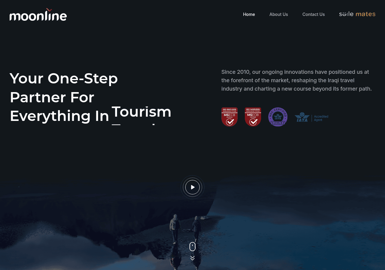 Screenshot of moonlinetravel.com