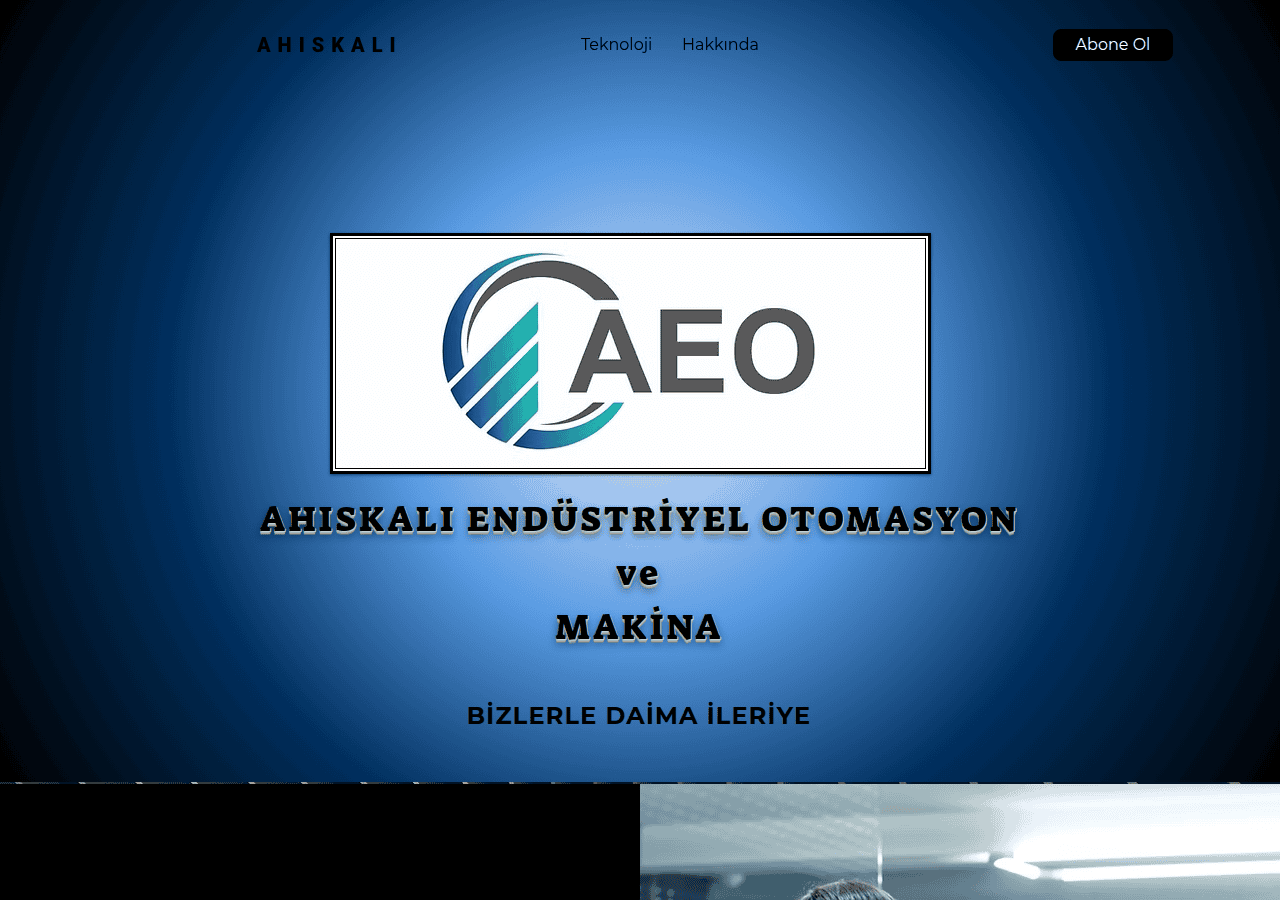Screenshot of ahiskaliotomasyonmakina.com