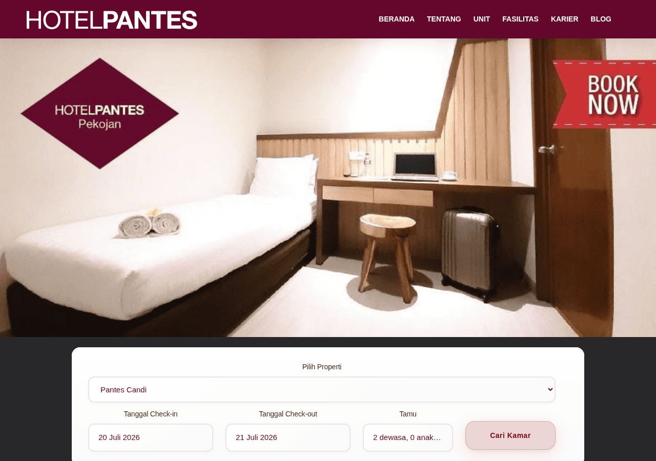 Screenshot of hotelpantes.com