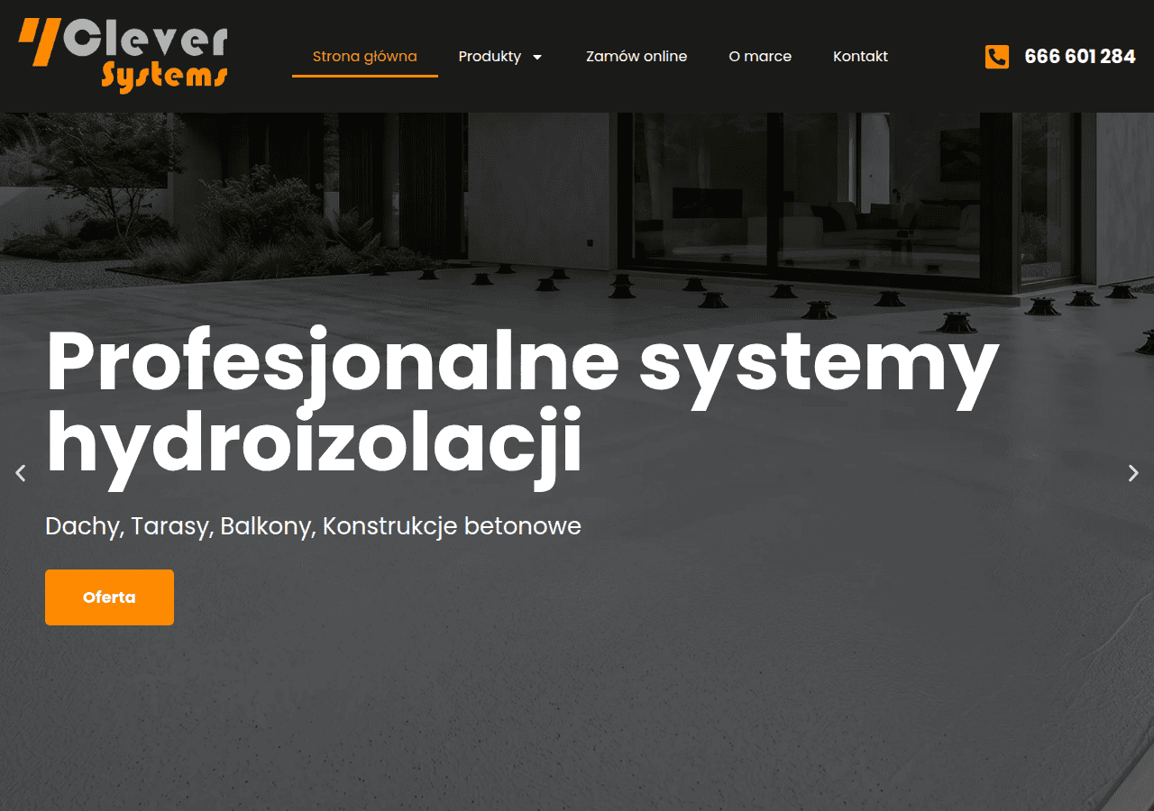 Screenshot of cleversystems.pl