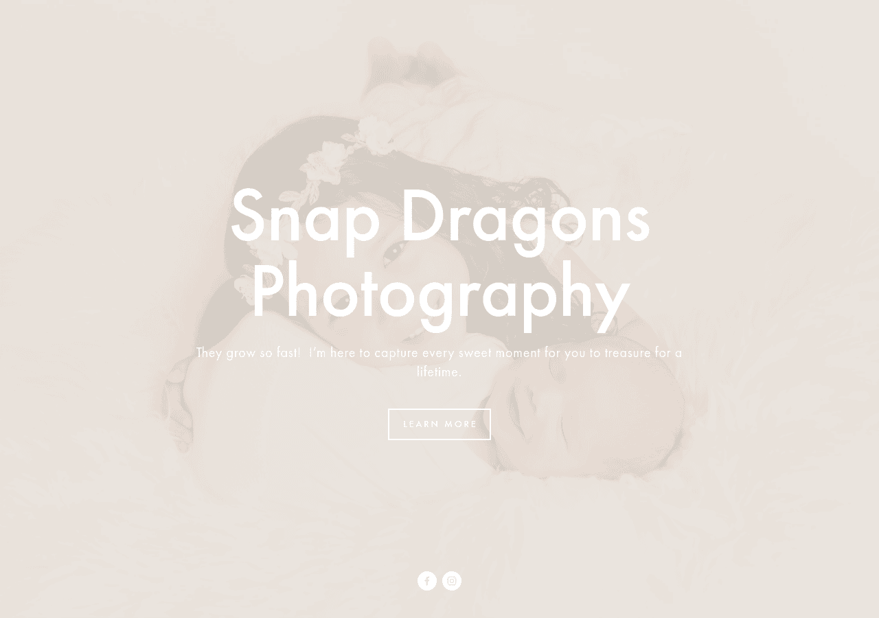 Screenshot of snapdragonsphotography.com