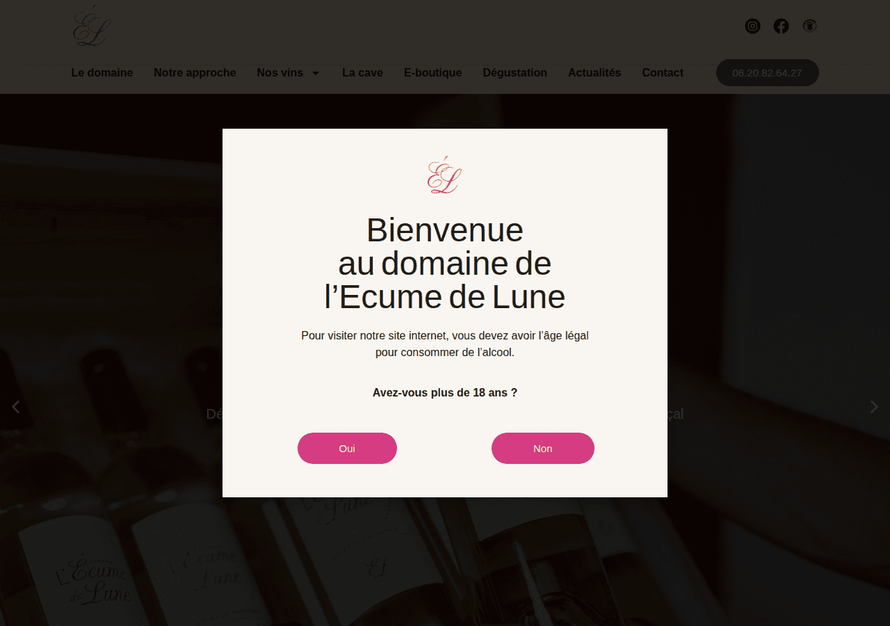Screenshot of lecumedelune.com