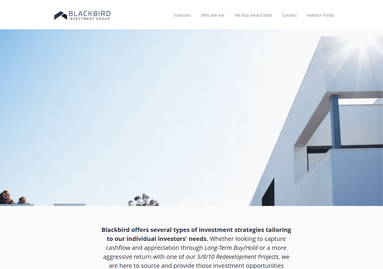 Screenshot of blackbirdrei.com