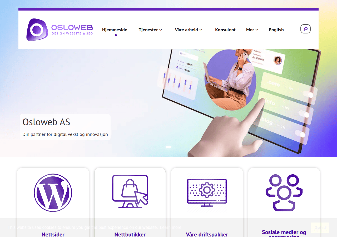 Screenshot of osloweb.no