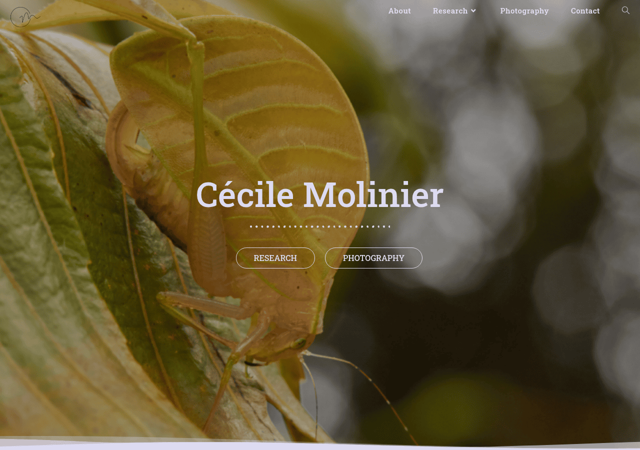 Screenshot of cecilemolinier.com