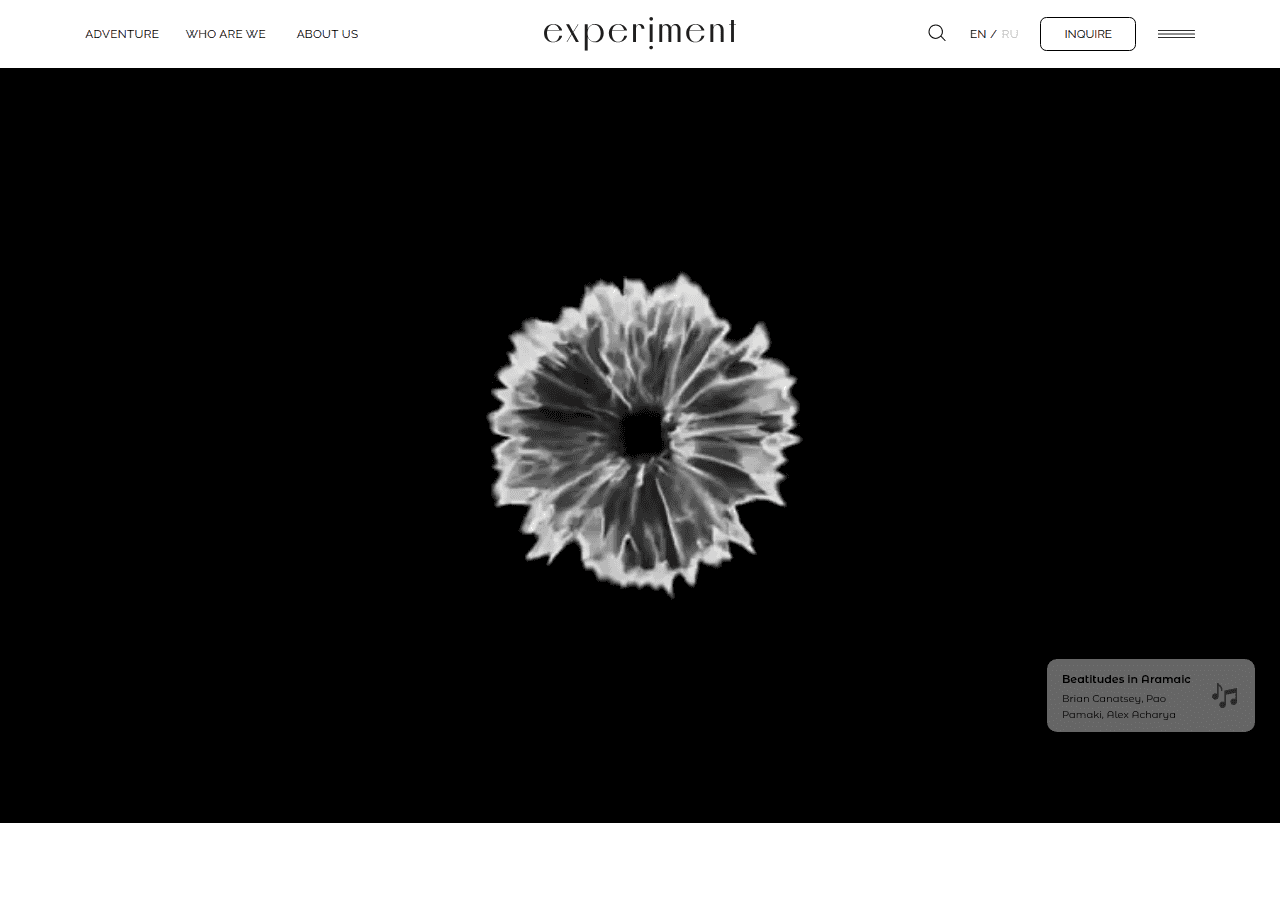 Screenshot of your-experiment.com