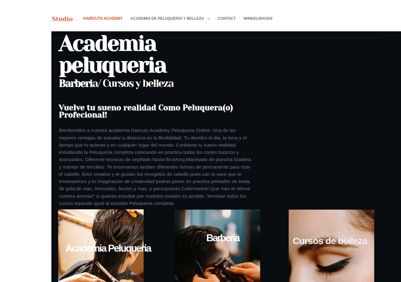 Screenshot of haircutsacademy.nl