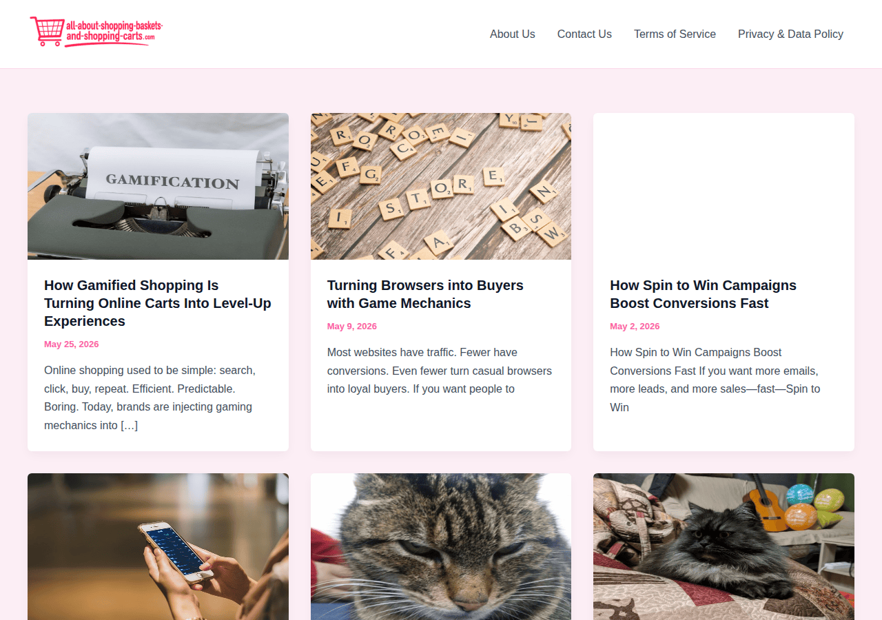 Screenshot of all-about-shopping-baskets-and-shopping-carts.com
