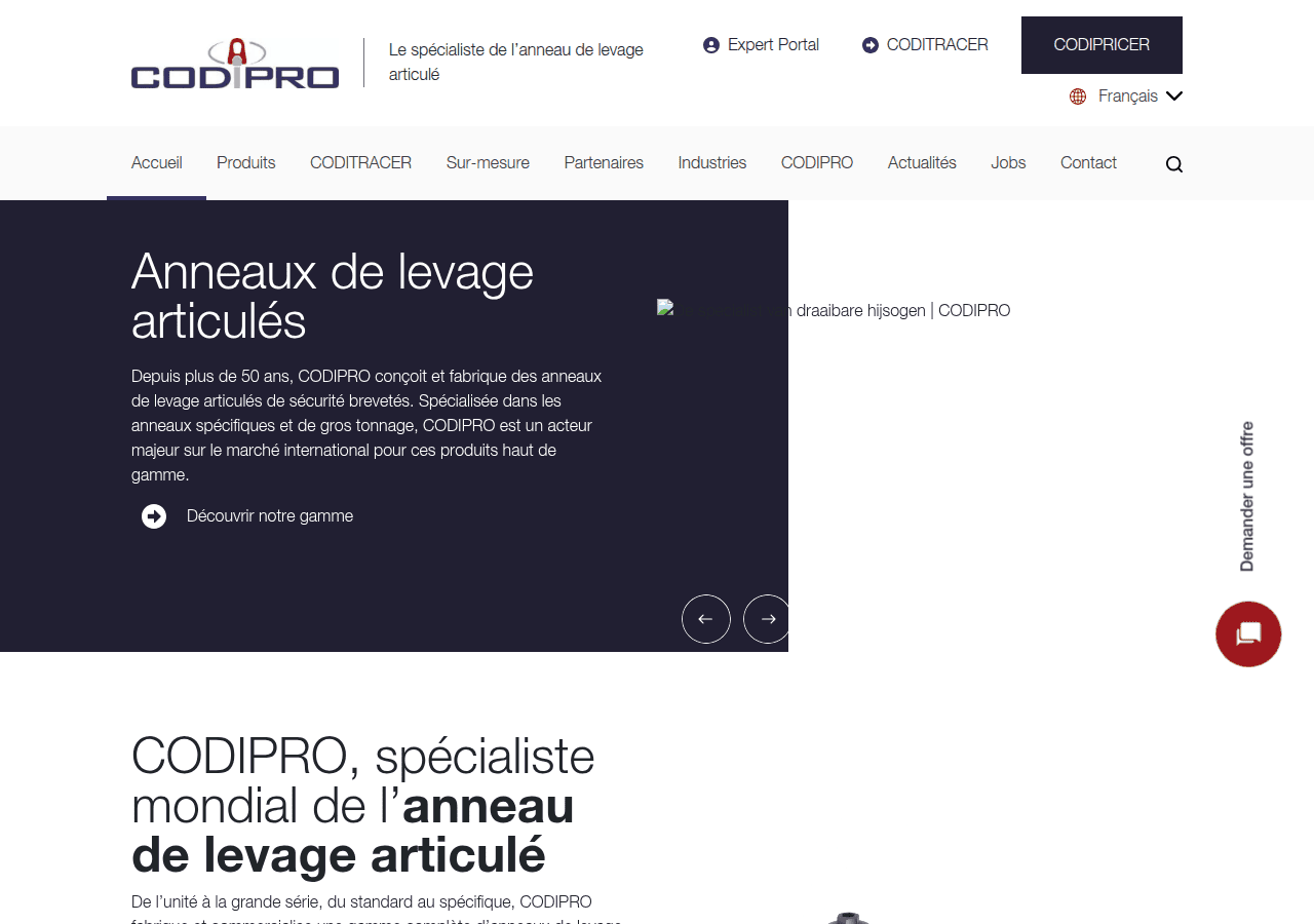 Screenshot of codipro.net