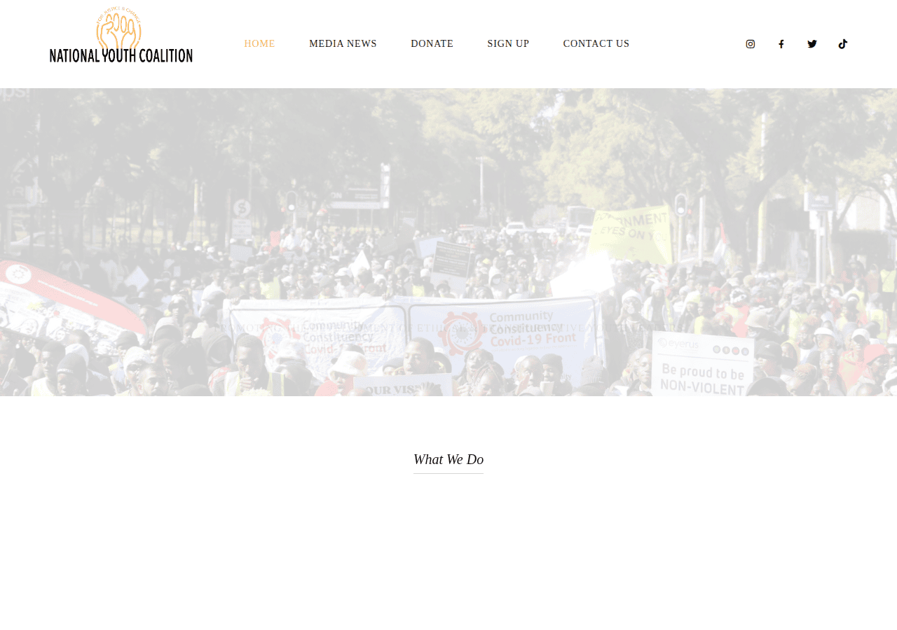 Screenshot of nationalyouthcoalition.org.za