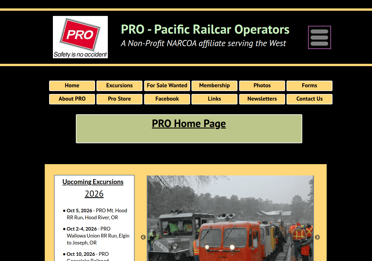 Screenshot of pro-online.org