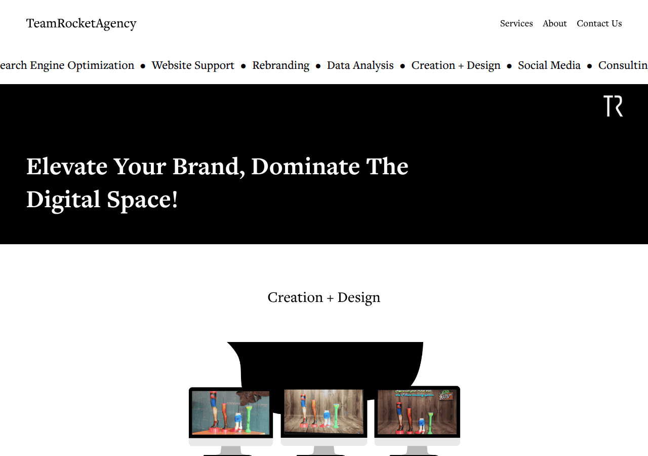 Screenshot of teamrocketagency.com